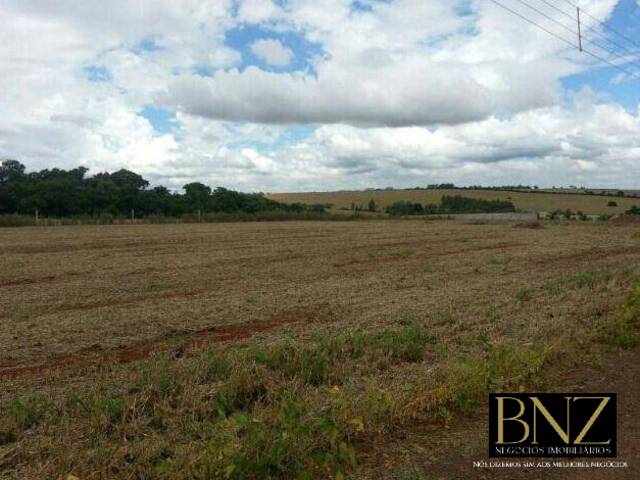 Terreno para Venda em Arapongas - 1