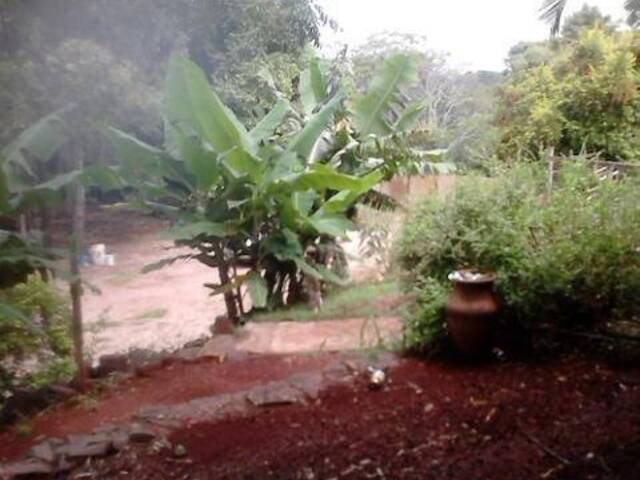 Terreno para Venda em Arapongas - 4
