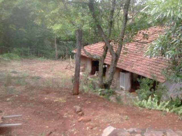 Terreno para Venda em Arapongas - 5