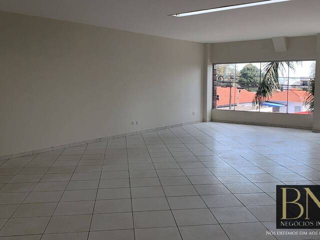 Sala para Locação em Arapongas - 1