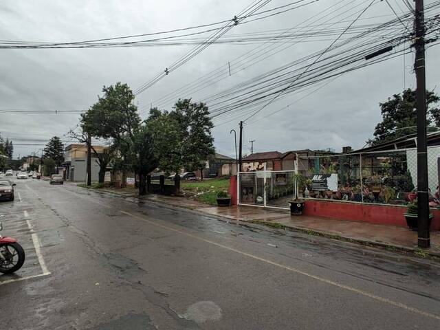 Terreno para Venda em Arapongas - 2