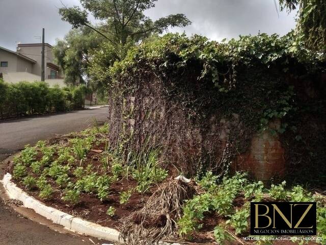 #7566 - Terreno para Venda em Arapongas - PR - 2