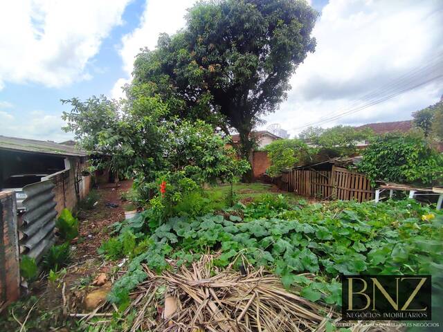 Terreno para Venda em Arapongas - 4