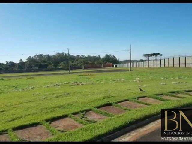 #9183 - Terreno para Venda em Arapongas - PR - 1