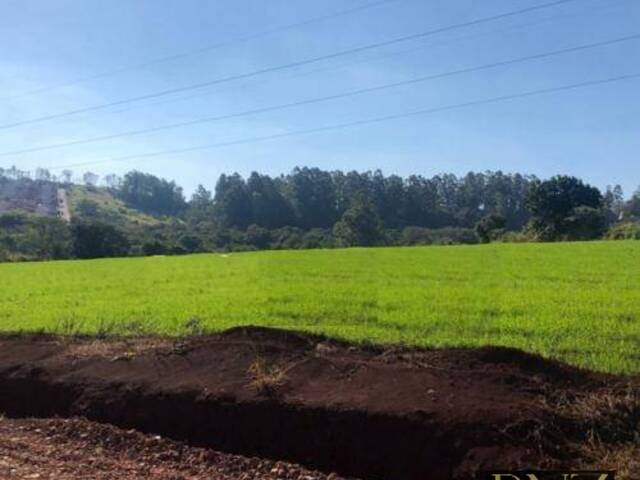 #9185 - Terreno para Venda em Apucarana - PR - 1