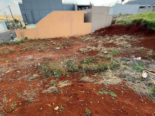 Terreno para Venda em Arapongas - 3
