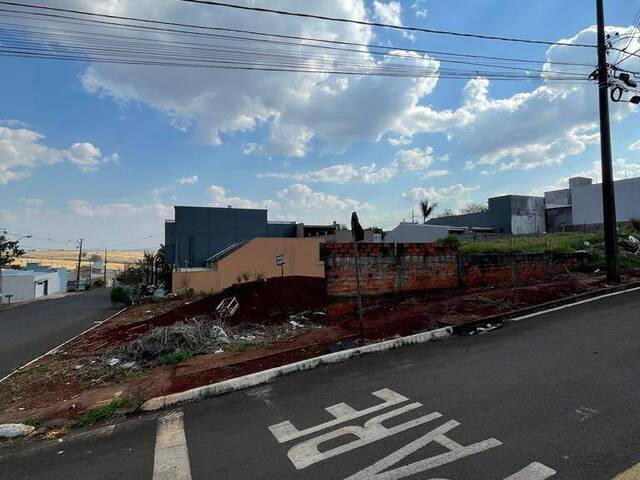 Terreno para Venda em Arapongas - 4