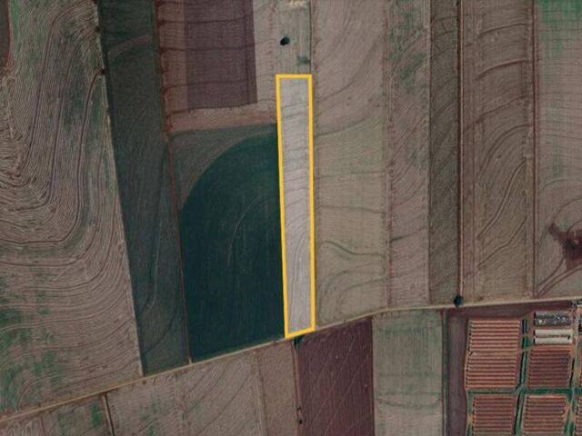 #9391 - Chácara para Venda em Arapongas - PR - 1