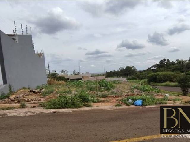 Terreno para Venda em Arapongas - 3