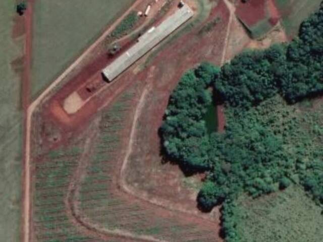 Sítio para Venda em Arapongas - 4