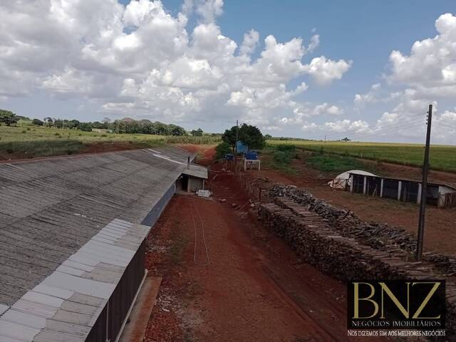 Sítio para Venda em Arapongas - 5