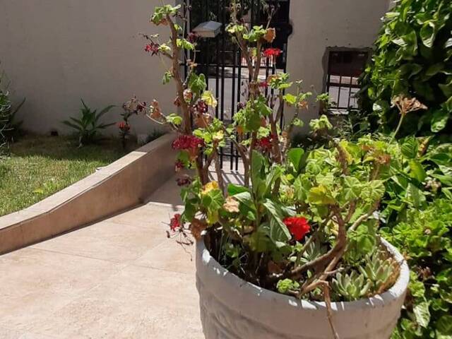 #9659 - Casa para Venda em Arapongas - PR - 2