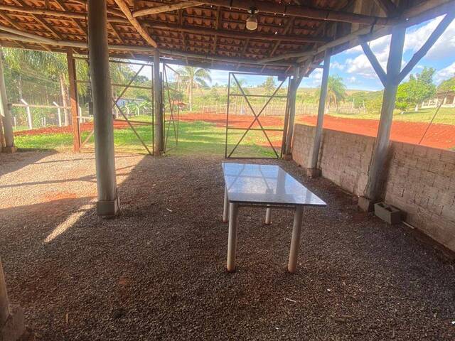 #9697 - Chácara para Venda em Arapongas - PR - 1