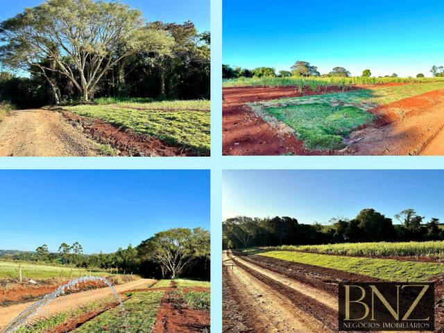 #9720 - Chácara para Venda em Arapongas - PR - 1