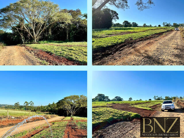 #9722 - Chácara para Venda em Arapongas - PR - 1