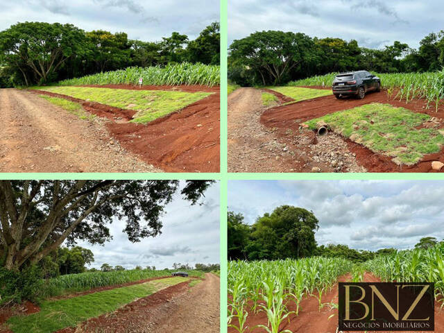 #9724 - Chácara para Venda em Arapongas - PR - 1