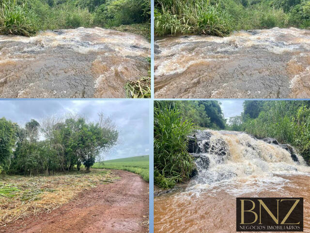 #9728 - Chácara para Venda em Arapongas - PR - 1