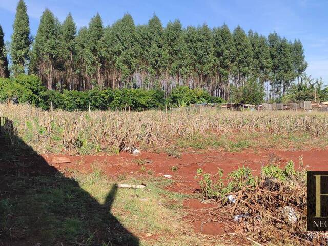 #9809 - Chácara para Venda em Arapongas - PR - 1