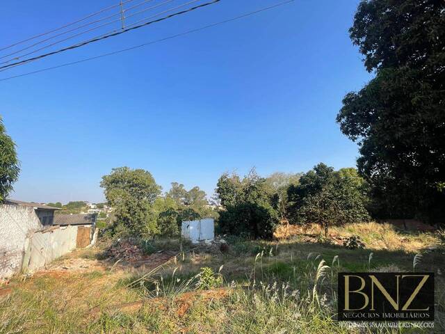 #9855 - Terreno para Venda em Arapongas - PR - 1