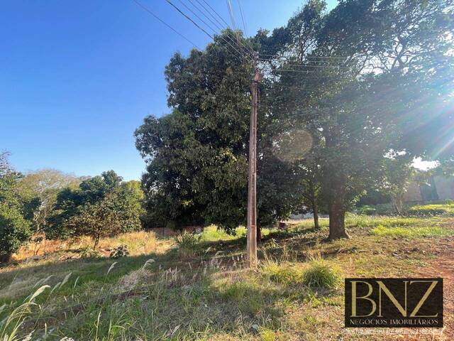#9855 - Terreno para Venda em Arapongas - PR - 3