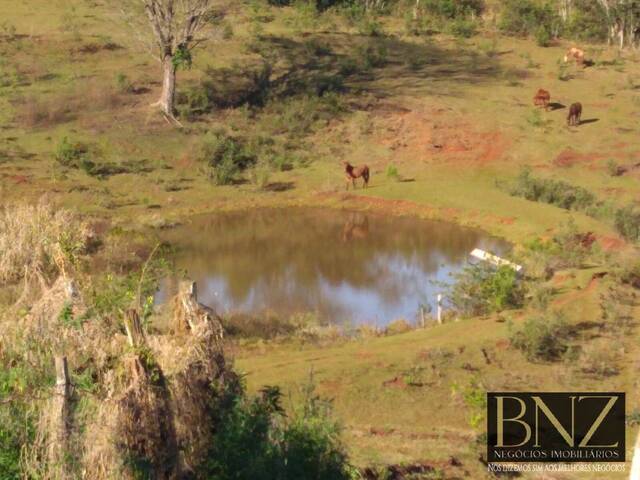 Sítio para Venda em Arapongas - 5