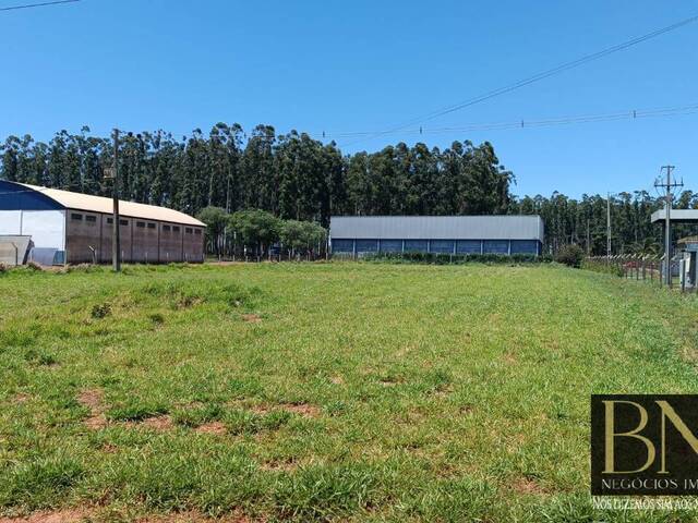 #9759 - Terreno para Venda em Arapongas - PR - 1