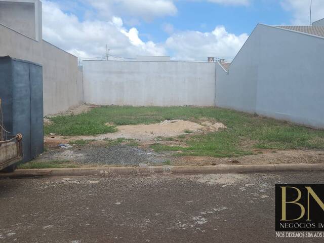 #10114 - Área para Venda em Arapongas - PR - 1