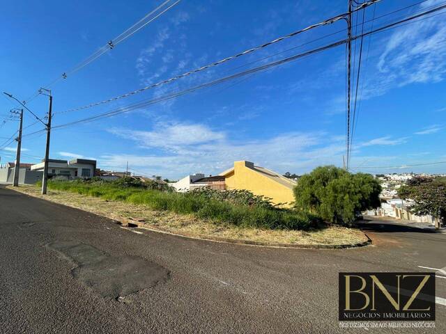 #10140 - Terreno para Venda em Arapongas - PR - 2