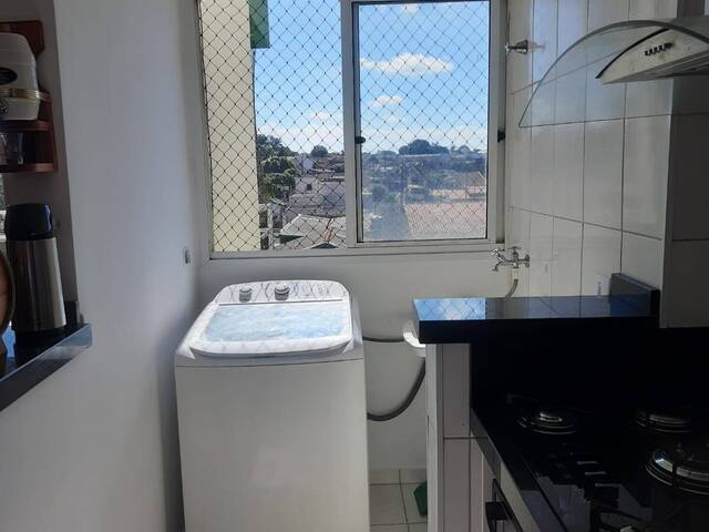#10162 - Apartamento para Venda em Arapongas - PR - 3