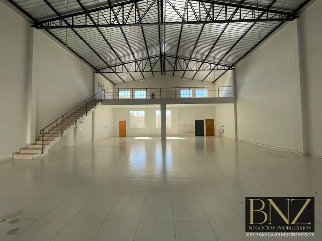 #10199 - Sala para Locação em Arapongas - PR - 3