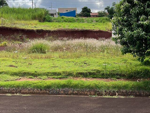 #10217 - Terreno para Venda em Arapongas - PR - 2