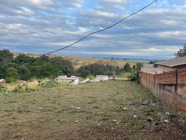 Venda em Jardim Morumbi - Arapongas