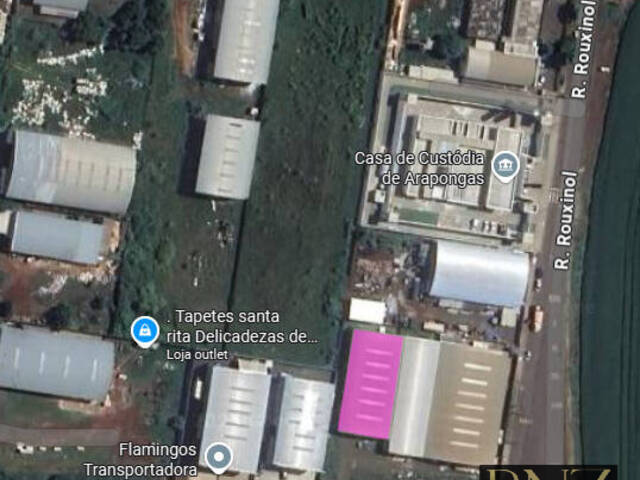 #10260 - Sala para Locação em Arapongas - PR - 1