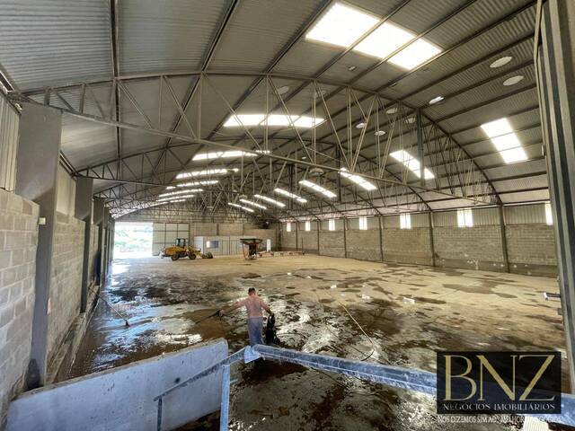 #10366 - Barracão para Locação em Arapongas - PR - 2