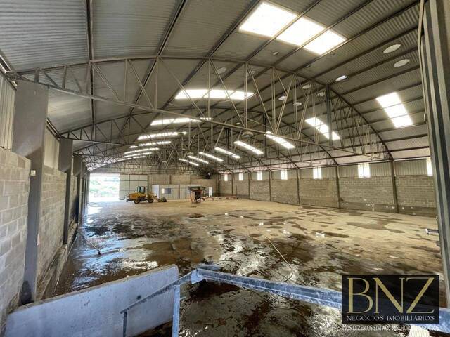 #10366 - Barracão para Locação em Arapongas - PR - 2