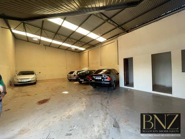 #10388 - Sala para Locação em Arapongas - PR - 3