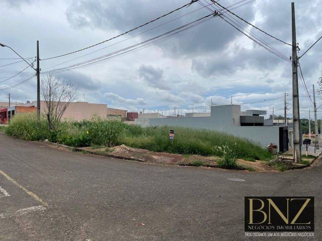 #10434 - Terreno para Venda em Arapongas - PR - 3