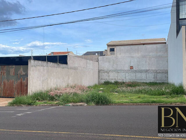 #10502 - Terreno para Venda em Arapongas - PR - 3