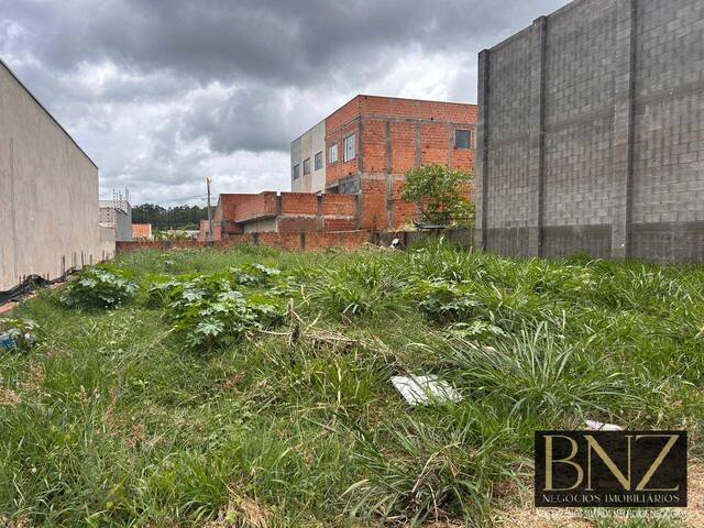 #10509 - Terreno para Venda em Arapongas - PR - 1