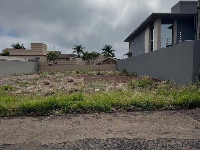 #10510 - Área para Venda em Arapongas - PR - 1