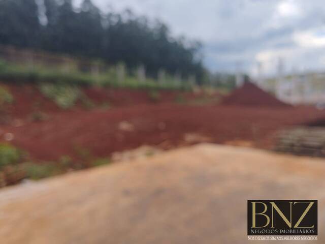 #10558 - Barracão para Locação em Arapongas - PR - 3