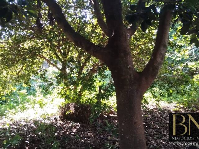 Venda em Columbia II - Arapongas