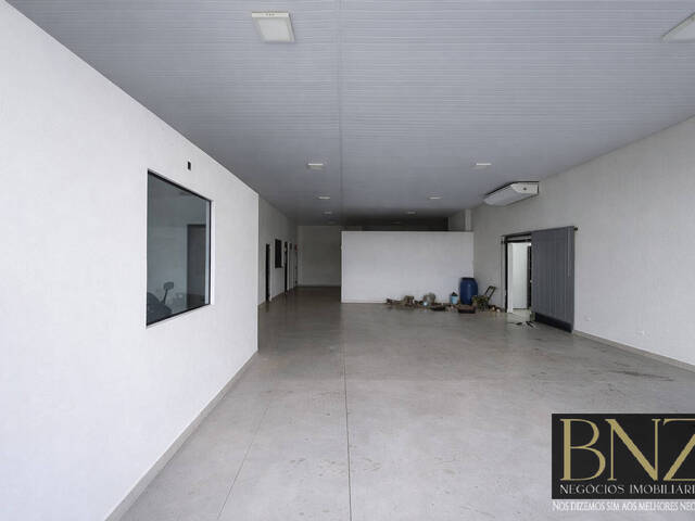 #10630 - Sala para Locação em Arapongas - PR - 3