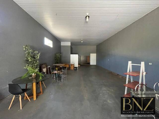 Sala para Locação em Arapongas - 4