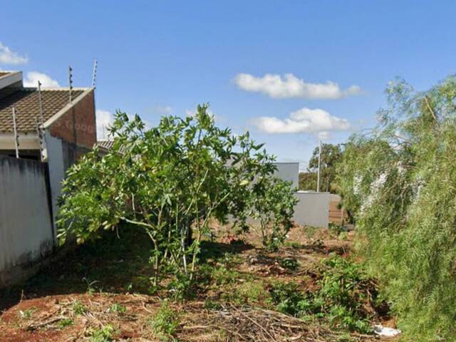 Terreno para Venda em Arapongas - 2