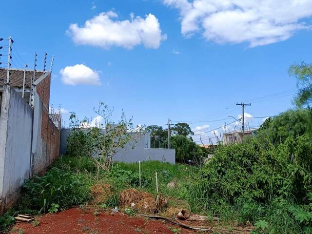 Terreno para Venda em Arapongas - 3