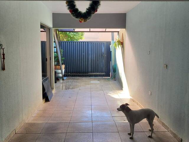 #10716 - Casa para Venda em Arapongas - PR - 2