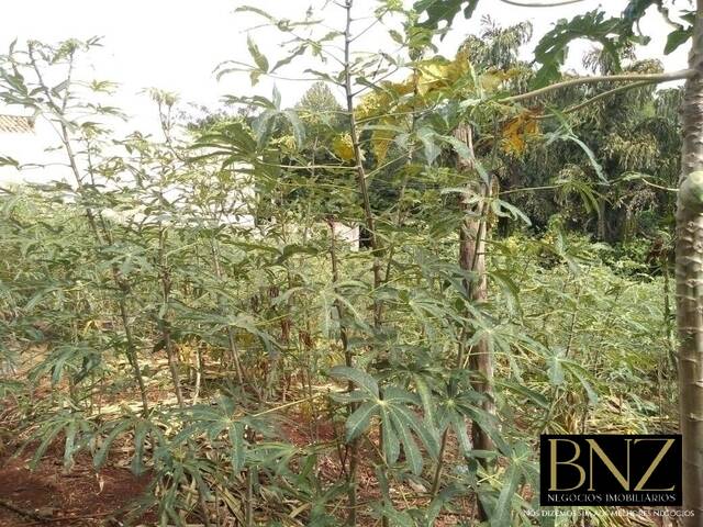 #7566 - Terreno para Venda em Arapongas - PR - 3