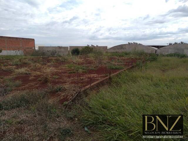Terreno para Venda em Arapongas - 2