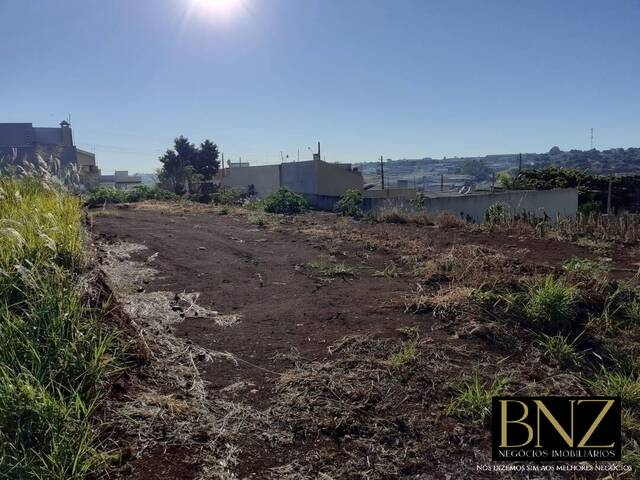 Terreno para Venda em Arapongas - 3